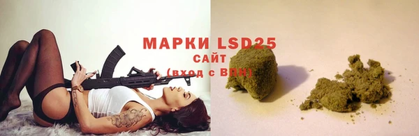 прущие грибы Пестово