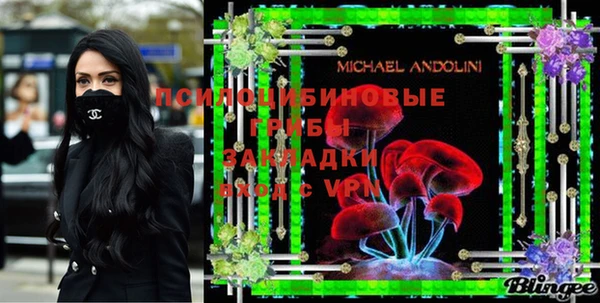 прущие грибы Пестово