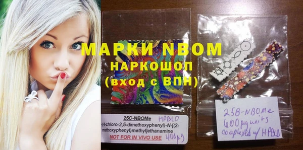 молекула духа Покачи