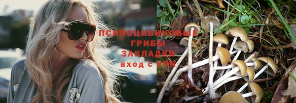 MDMA Premium VHQ Всеволожск