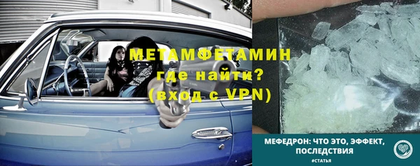 прущие грибы Пестово