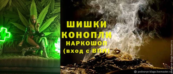 прущие грибы Пестово