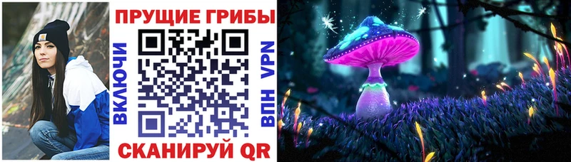 мега маркетплейс  Белая Холуница  Псилоцибиновые грибы MAGIC MUSHROOMS 