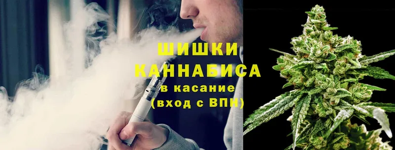 Бошки марихуана THC 21%  Белая Холуница 