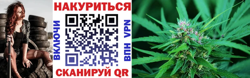 Бошки Шишки MAZAR  где купить   Белая Холуница 